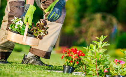 Gardening Service